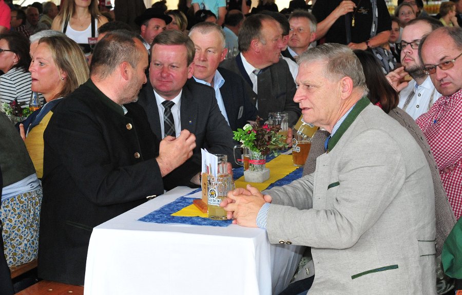 Waldviertelbahn 115 Jahr Feier Groß Gerungs (48)
